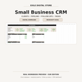EXILE Small Business CRM with real Microsoft Excel CRM dashboard preview