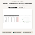 EXILE Small Business Finance Tracker with real Excel monthly dashboard preview