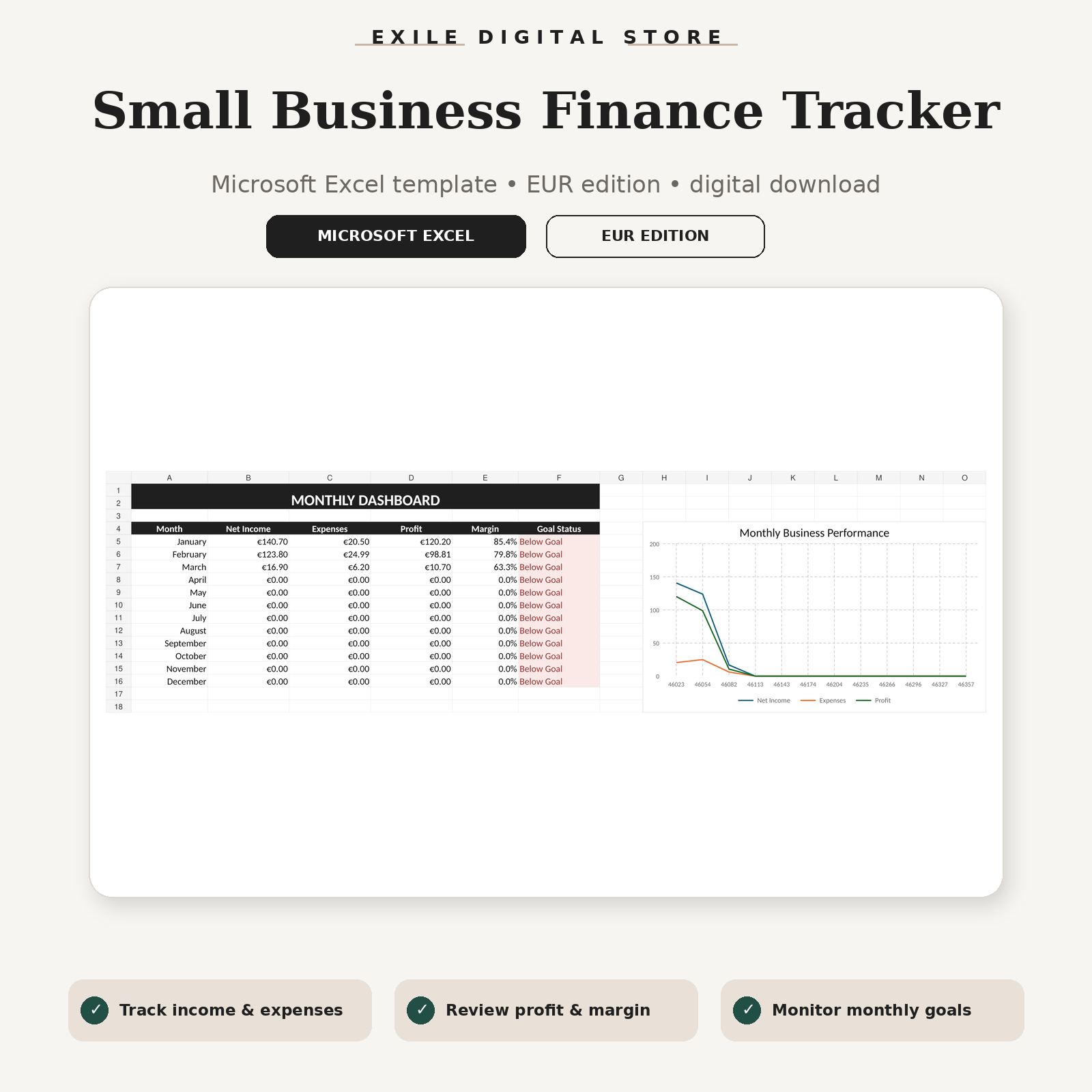 EXILE Small Business Finance Tracker with real Excel monthly dashboard preview