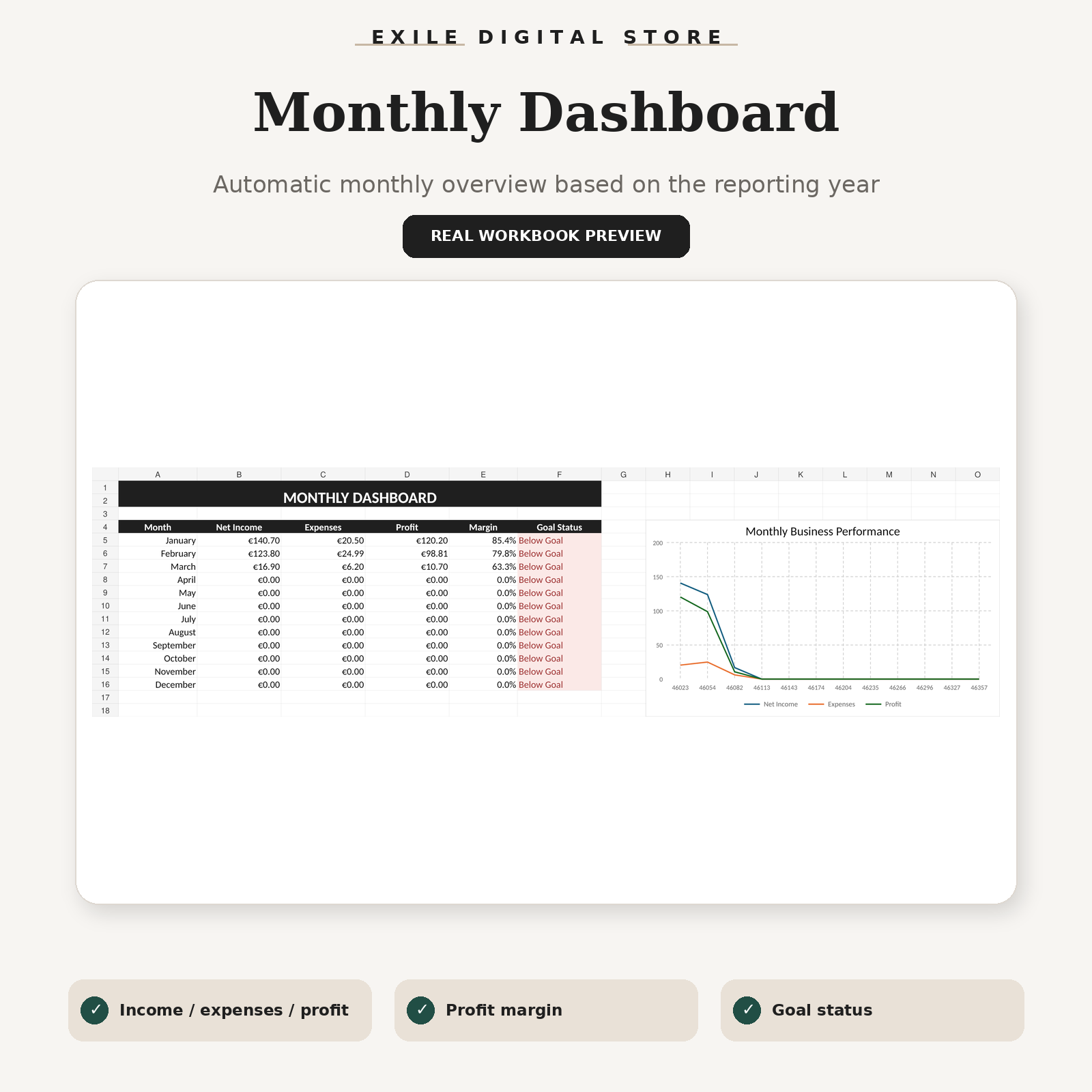 Small Business Finance Tracker real monthly dashboard workbook preview