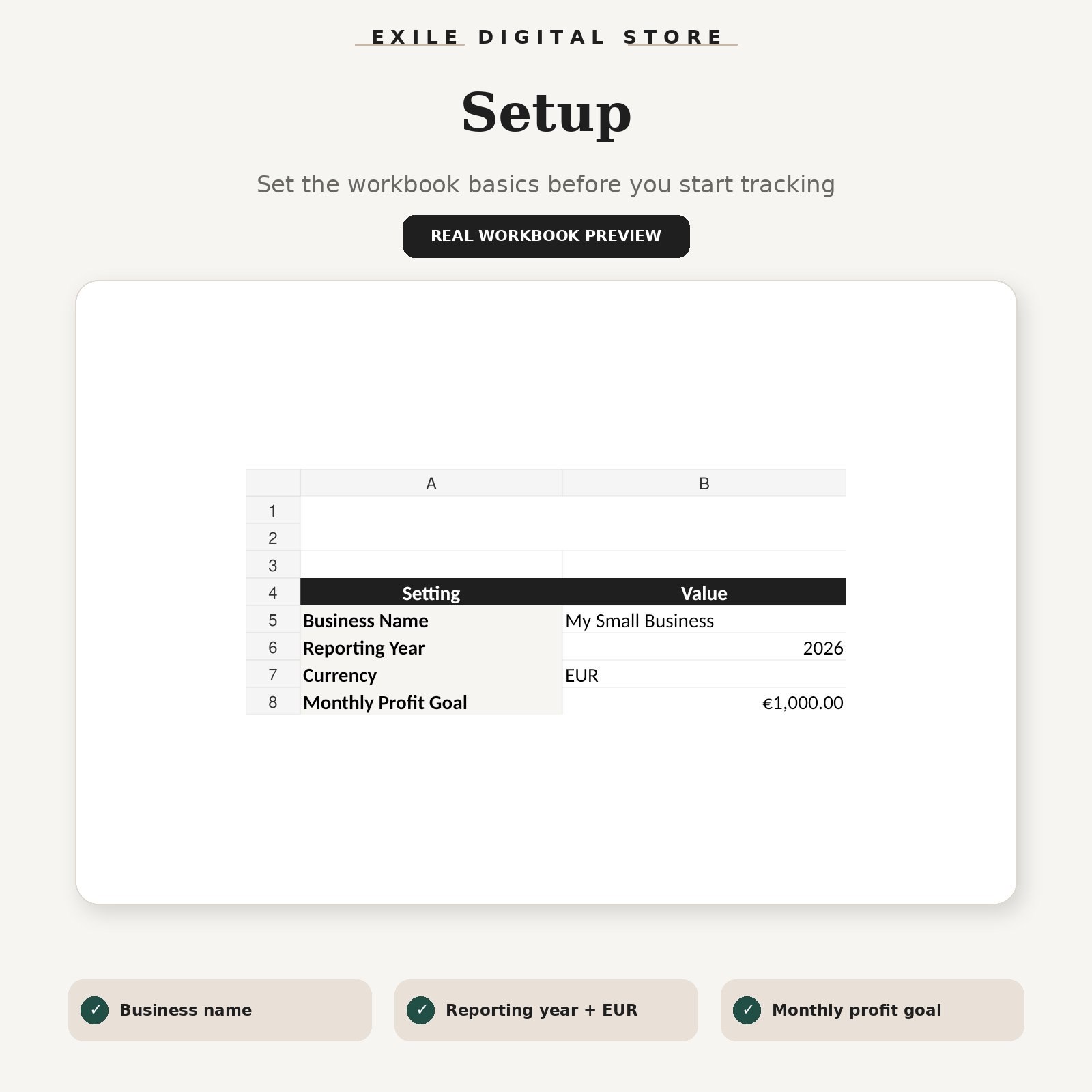 Small Business Finance Tracker real setup sheet workbook preview